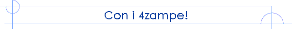 Con i 4zampe!
