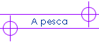 A pesca