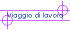 Viaggio di lavoro