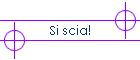 Si scia!